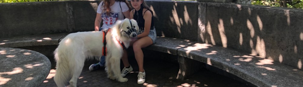 Noch eine kleine Pause im Schatten