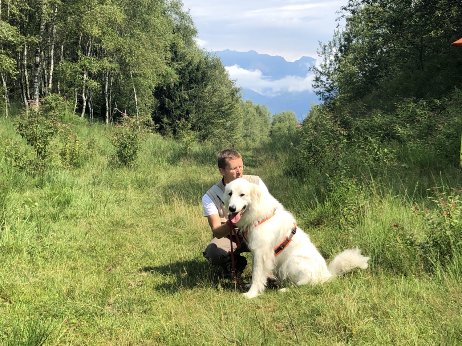 Die Bella und ihr großer Mensch