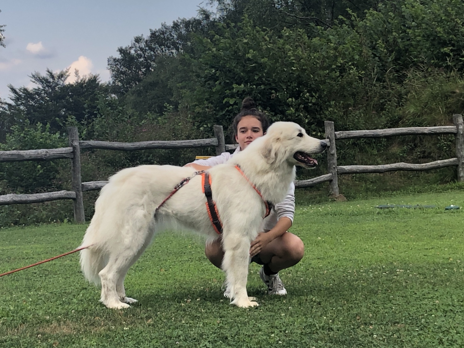 Die Bella und ihre kleine Menschenschwester