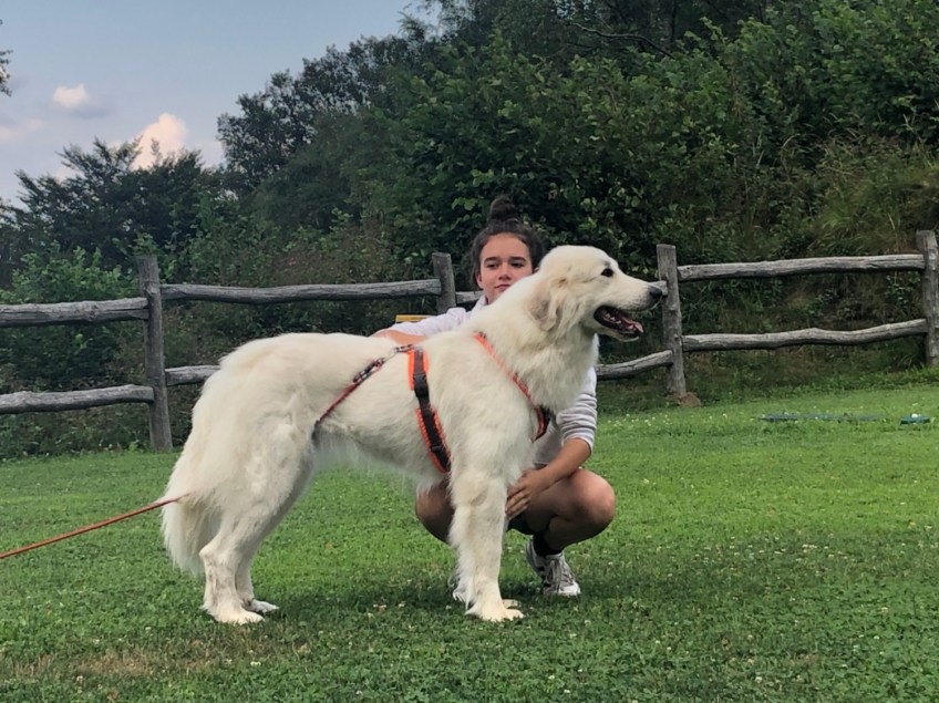 Die Bella und ihre kleine Menschenschwester
