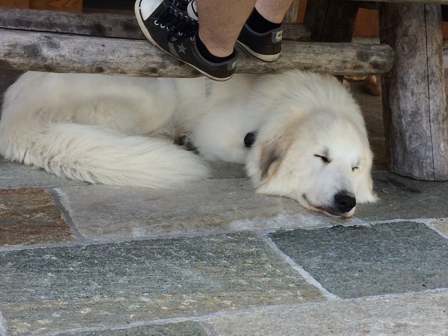Gemütlich auf meiner Urlaubsterrasse