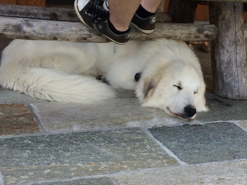 Gemütlich auf meiner Urlaubsterrasse