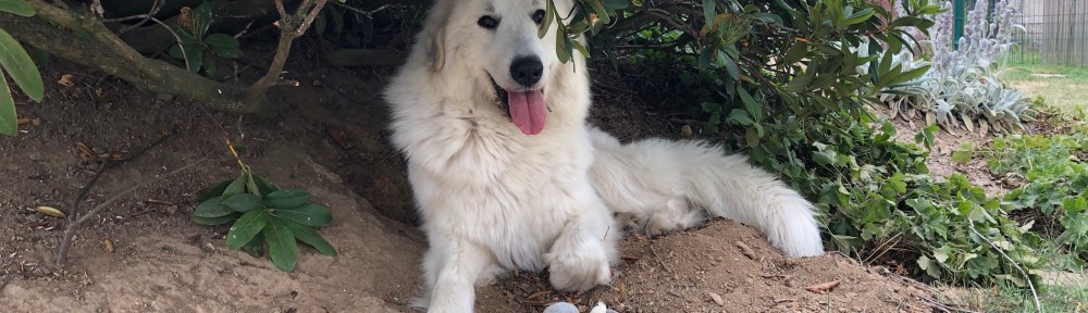 In meiner selbst gebuddelten Grube