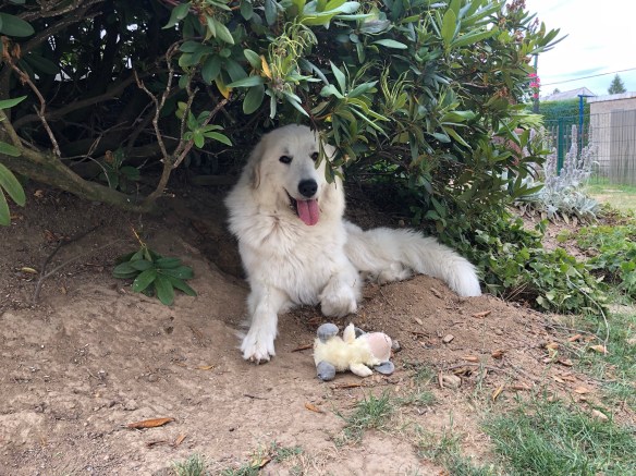 In meiner selbst gebuddelten Grube