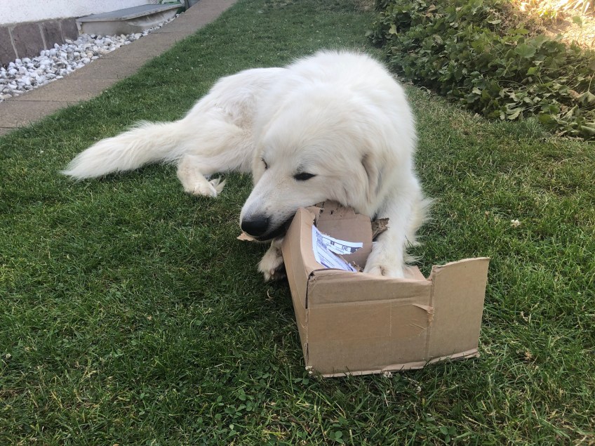 Ich helfe mal wieder …