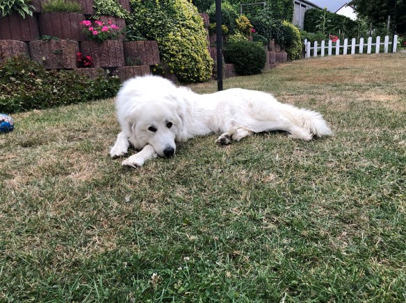 Na los, komm, spielen!