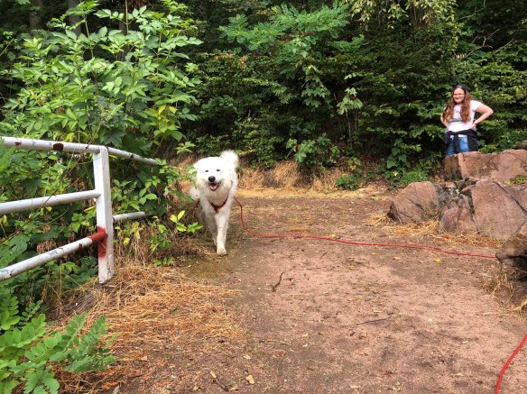 Morgenspaziergang, sogar meine liebe Sonne guckt manchmal nach mir