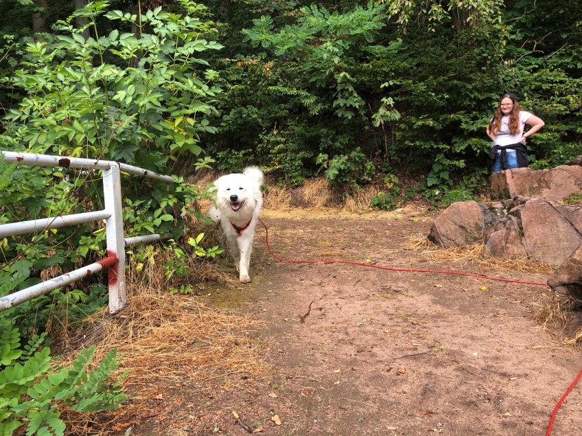 Morgenspaziergang, sogar meine liebe Sonne guckt manchmal nach mir
