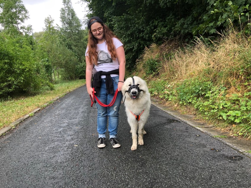 Meine große Menschenschwester mit ihrer lieben Bella und mein Nasenzaun
