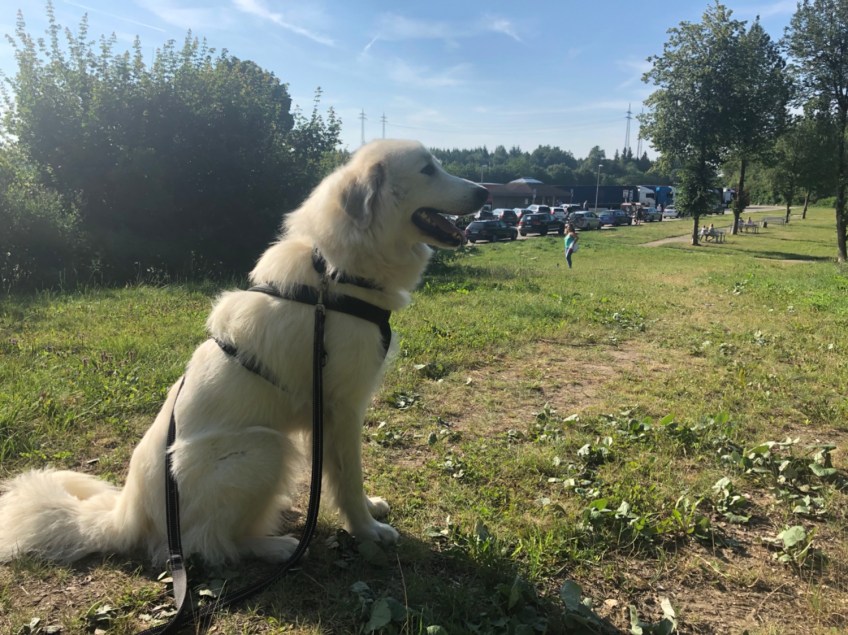 Pause an der A7, Raststätte „Heidenheimer Kohlplatten“
