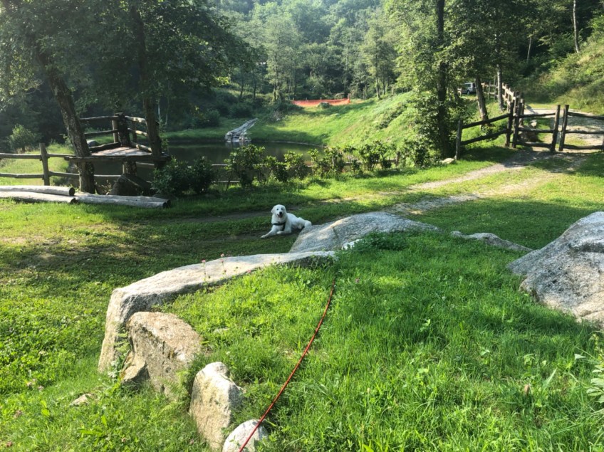 Bella bewacht uns schon