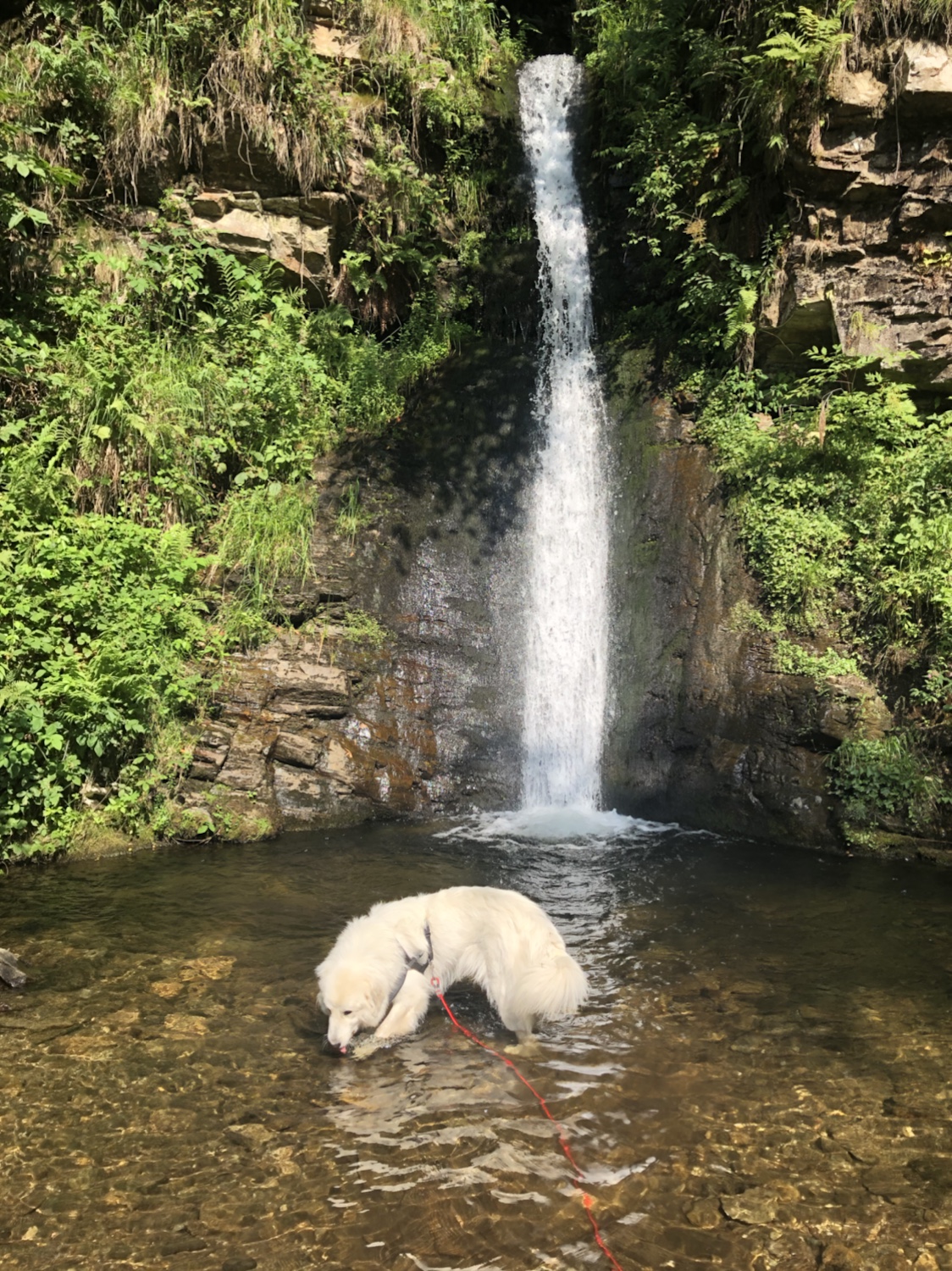Die Bella im See am kleinen Wasserfall