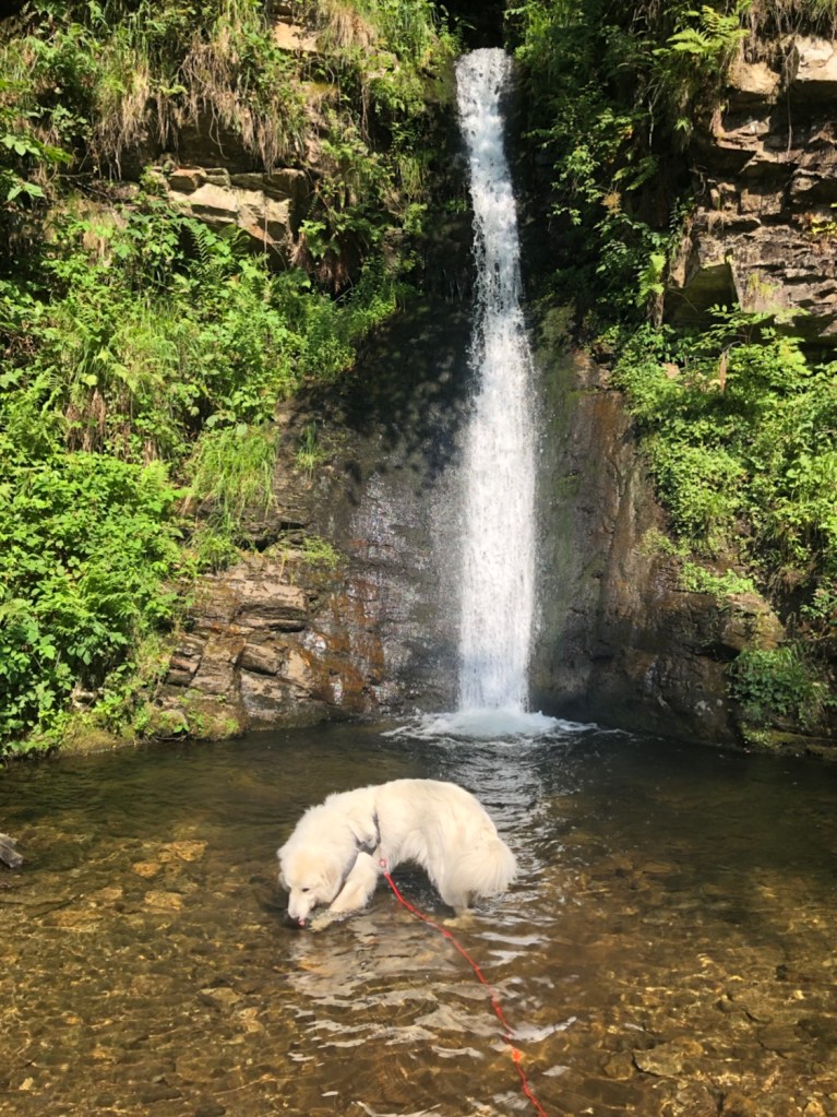 Die Bella im See am kleinen Wasserfall