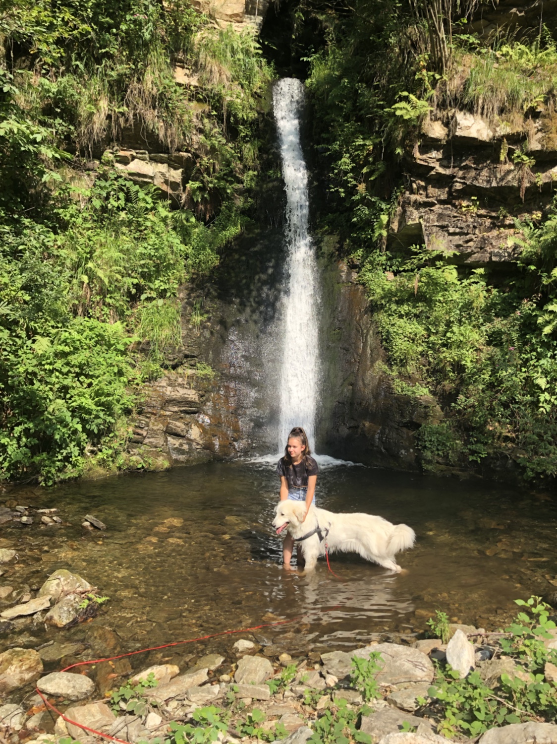 Jessi und Bella im kleinen See am Wasserfall