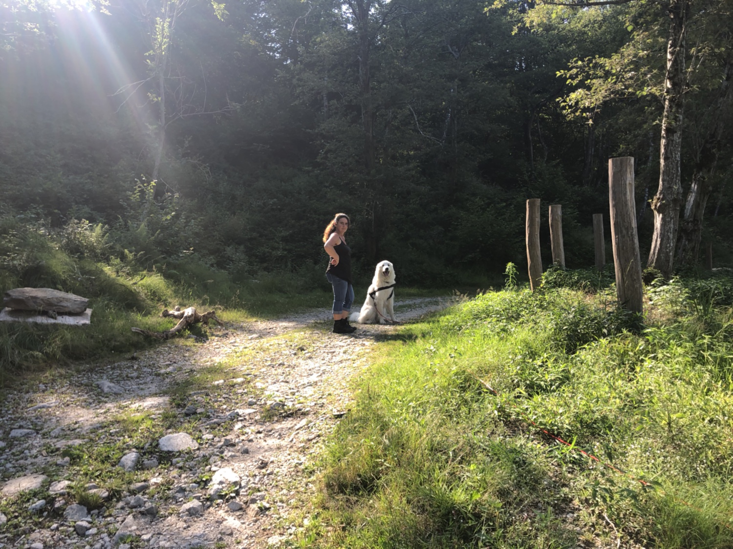 Spaziergang zum kleinen Bach