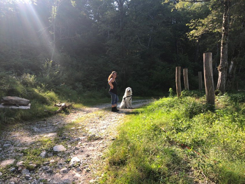 Spaziergang zum kleinen Bach