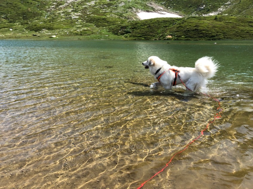 Die Bella im Bergsee auf der Simplon Paßhöhe