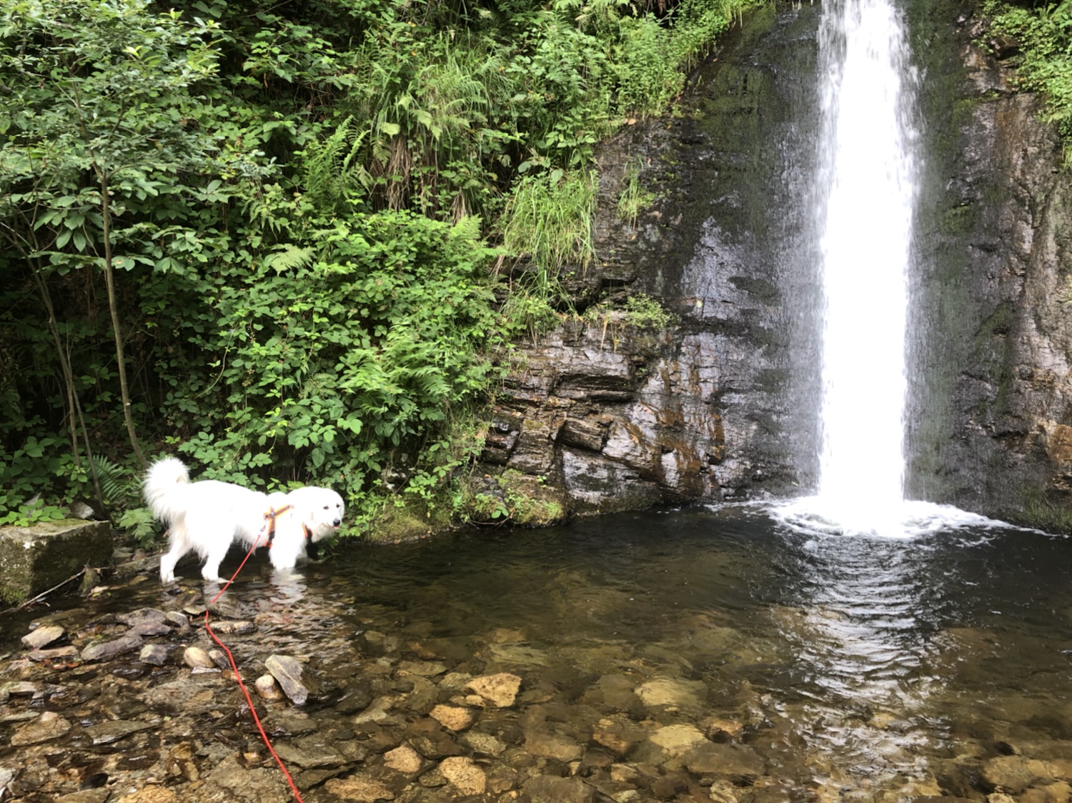 Baden am kleinen Wasserfall