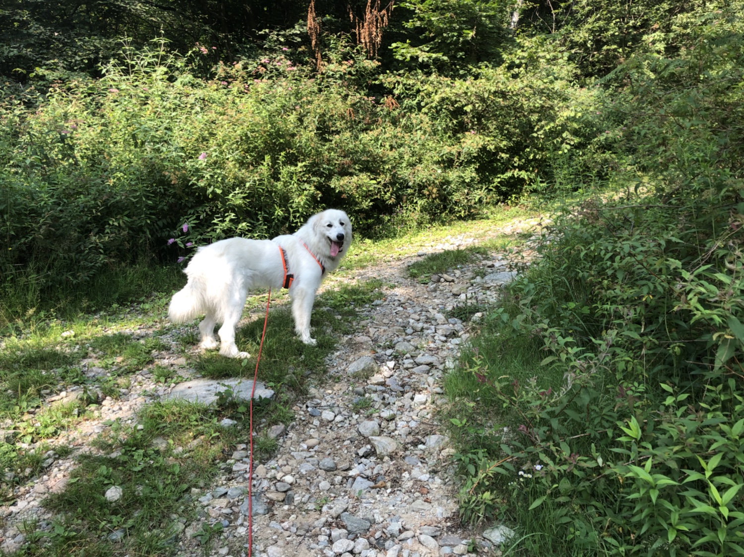 Na los, kommt schon. Wandern! Es geht los!
