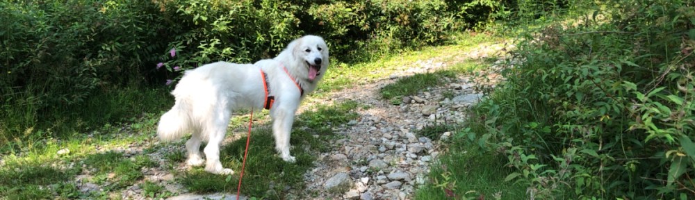 Na los, kommt schon. Wandern! Es geht los!