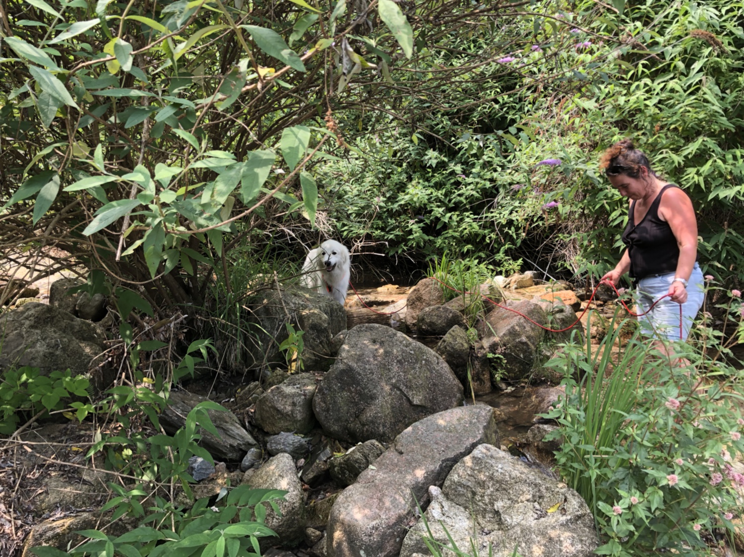 Klettern im Selva Spessa