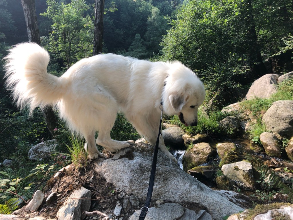 Ich kletter lieber, wenn die anderen baden