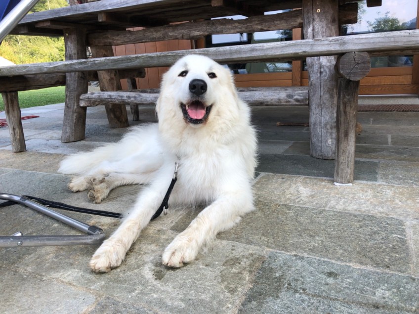 Auf meiner Urlaubsterrasse