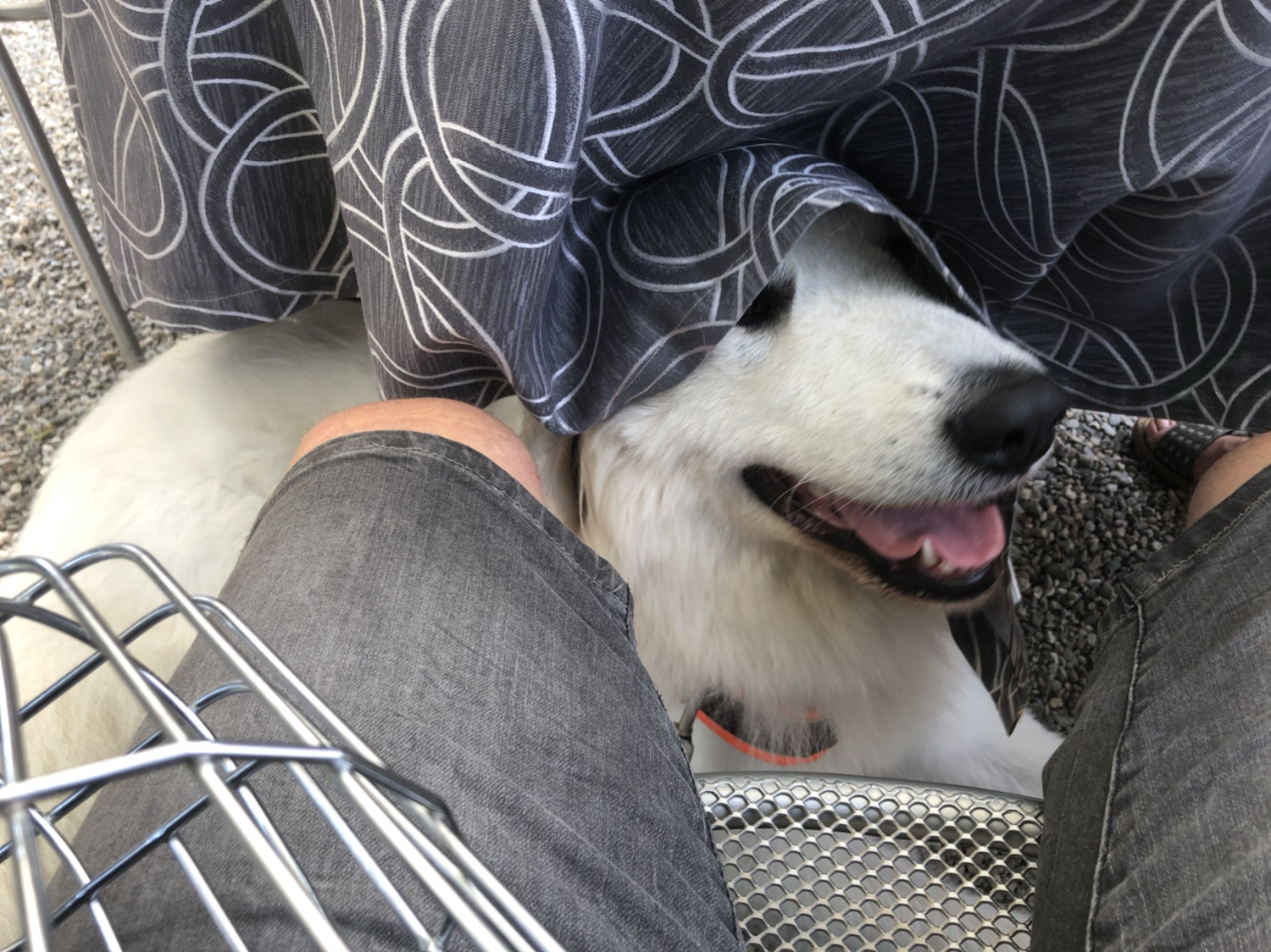 Die Bella im Café am Seeufer