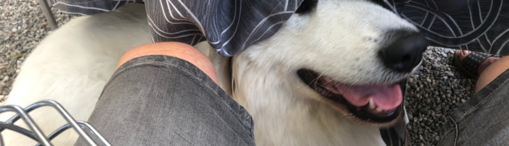 Die Bella im Café am Seeufer