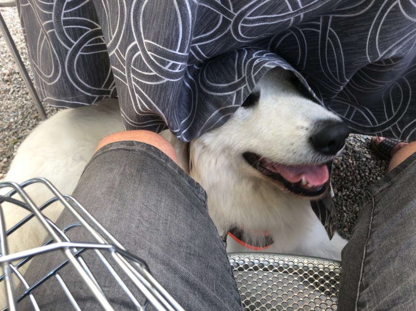 Die Bella im Café am Seeufer