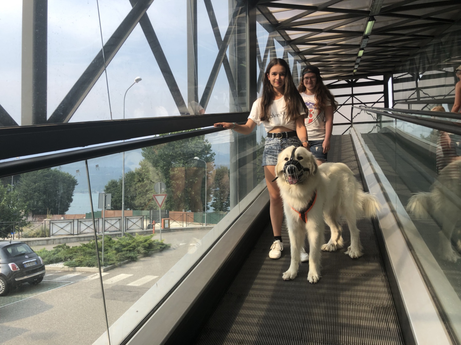 Die Bella kann Rolltreppe fahren. Das ist ganz komisch!