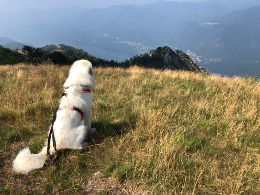 Die Bella staunt die Berge an