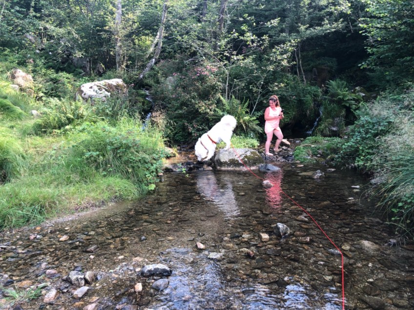 Nachmittags am kleinen Bach