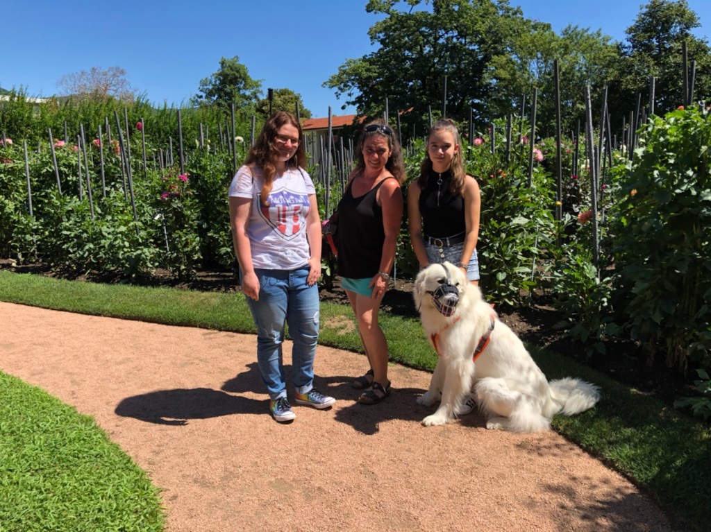 Meine Mädchen mit ihrer Bella bei den Dahlien