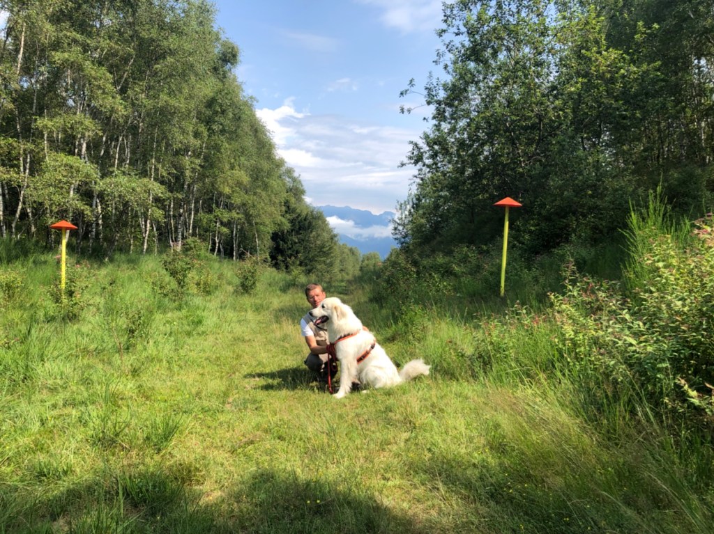 Es geht wieder zurück in Richtung Farne