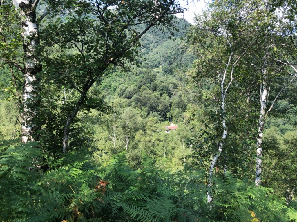Blick von oben auf unser Ferienhaus