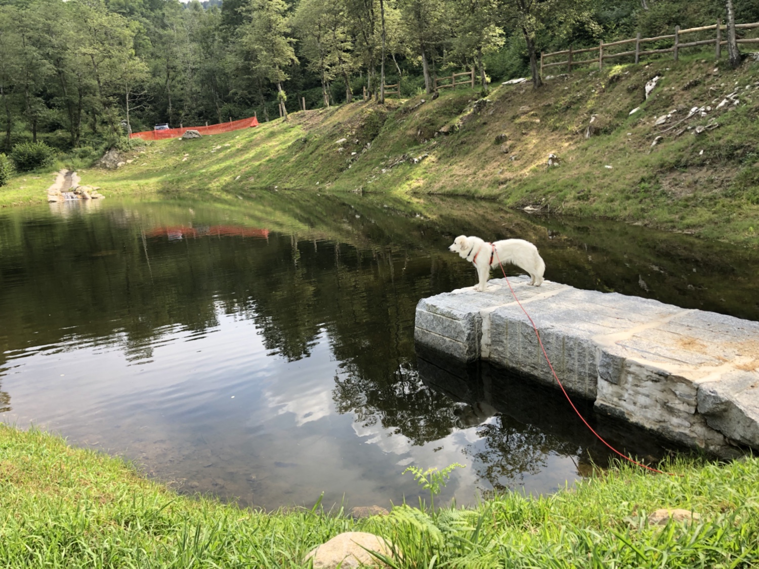 Die Bella wacht am großen Teich!