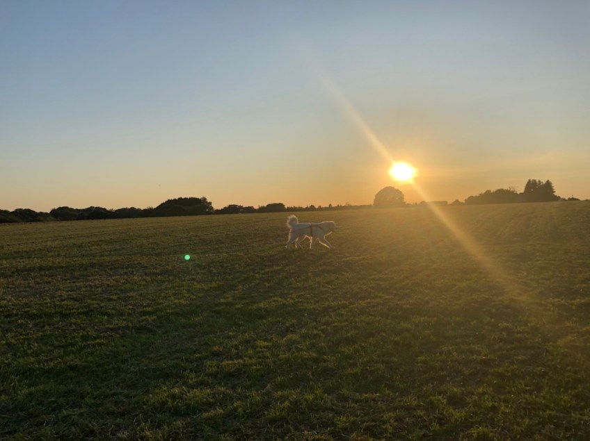 Sonnenuntergang