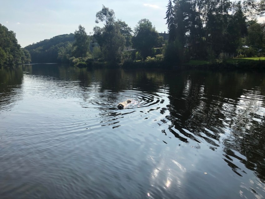 Jajajajajaaa! Die Bella kann schwimmen!
