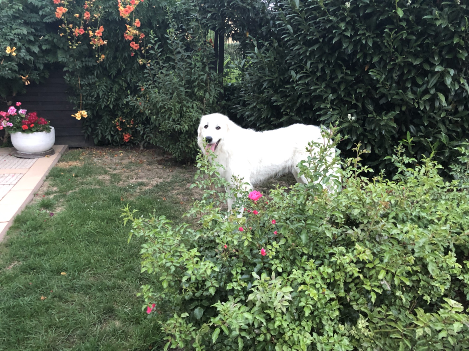Jetzt geht’s zum Schlummern in die Kellerwohnung. Gute Nacht!