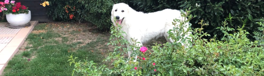 Jetzt geht’s zum Schlummern in die Kellerwohnung. Gute Nacht!