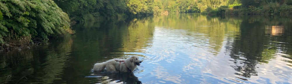 Die Bella geht wieder baden