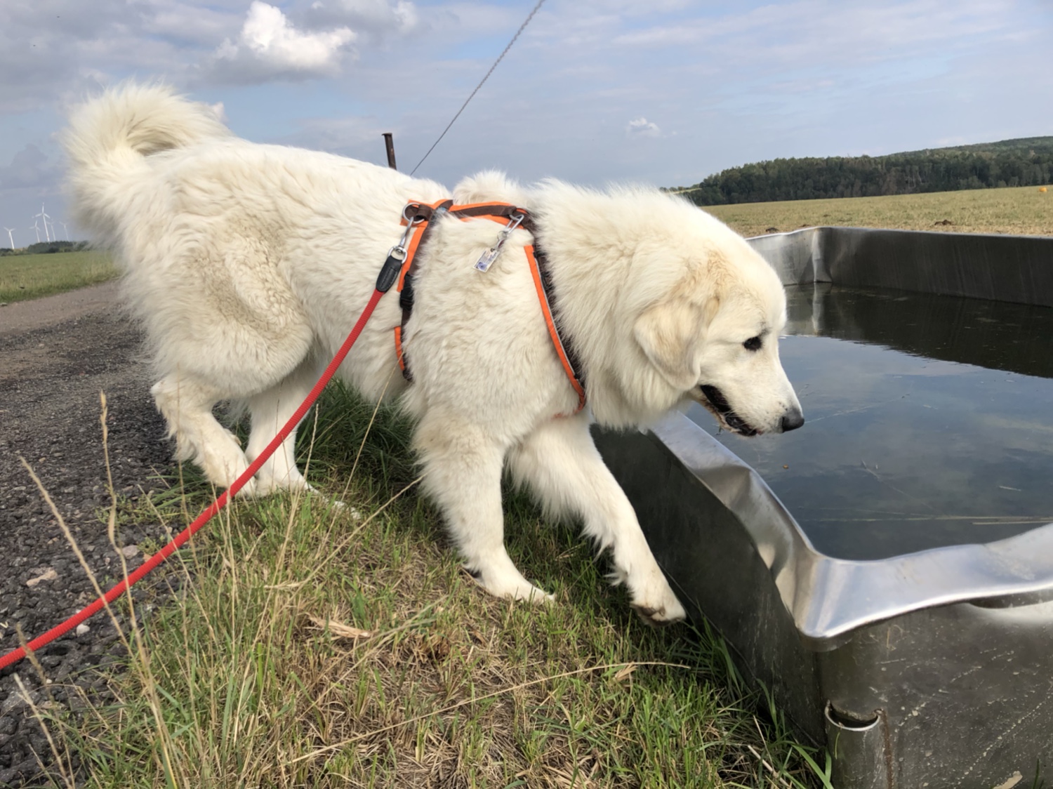 Heute gehört das Wasser nur der Bella!
