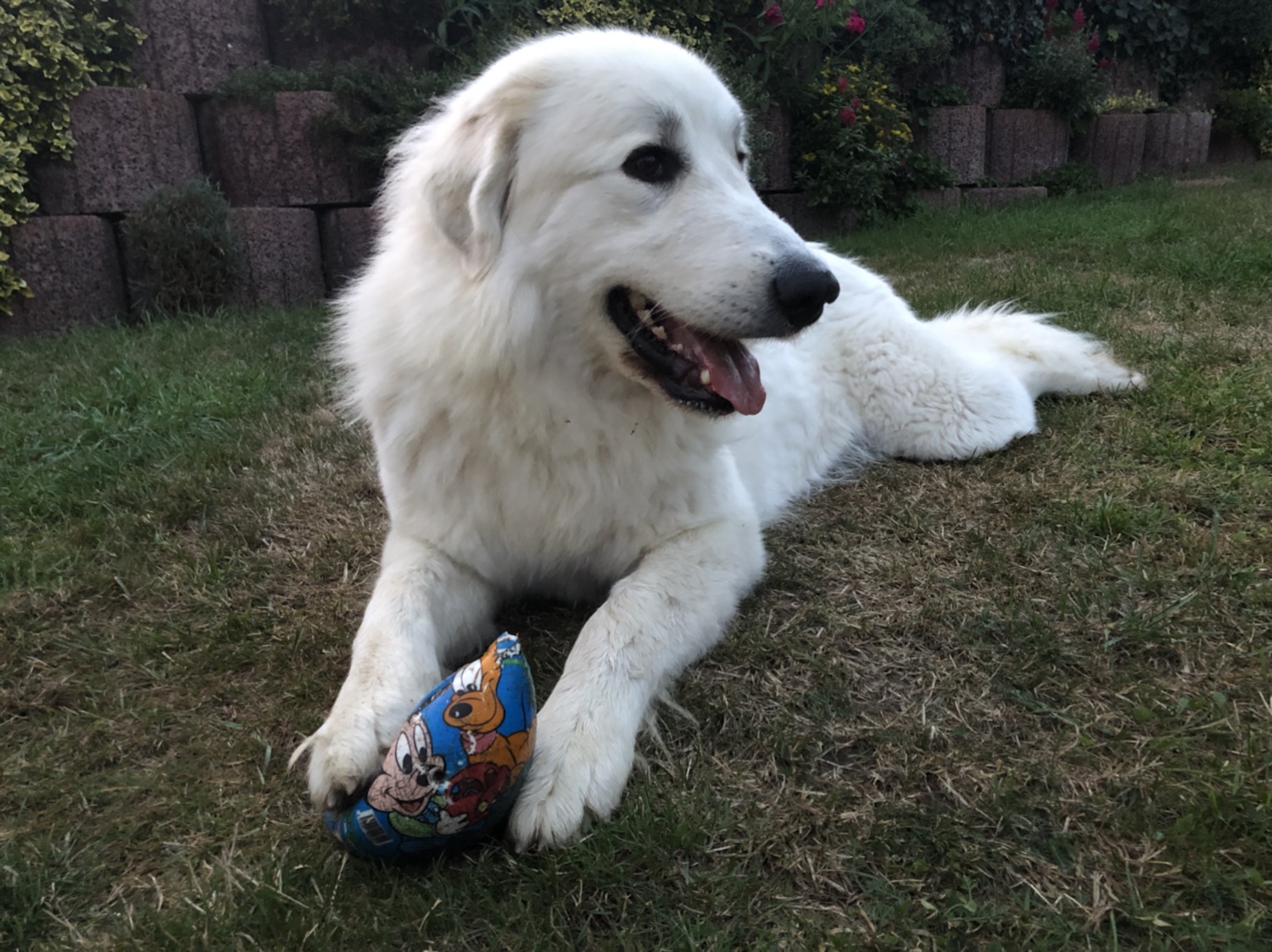 Gleich geht es zum Schlummern, Gute Nacht!