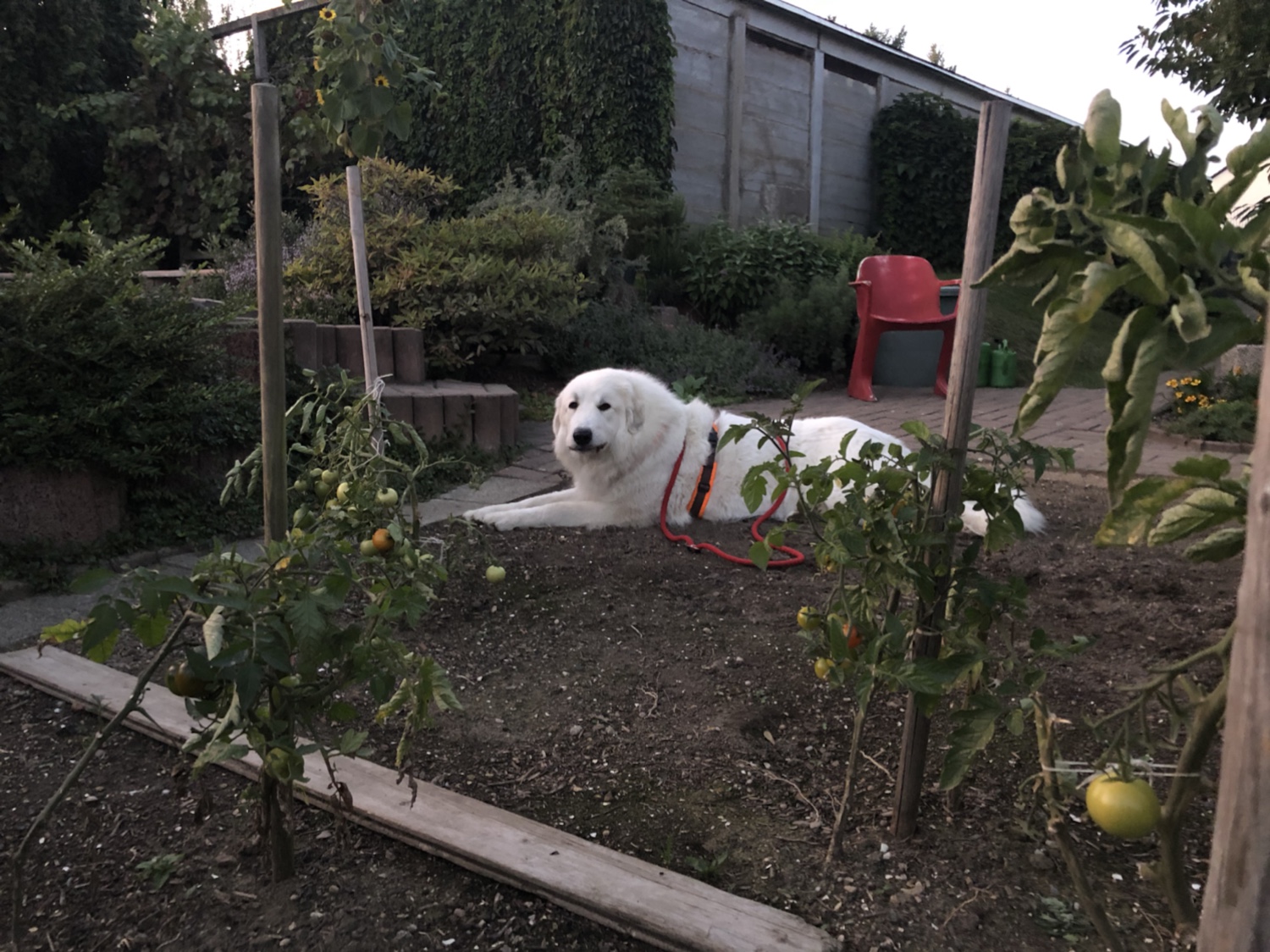 Gleich geht es rein in die Kellerwohnung