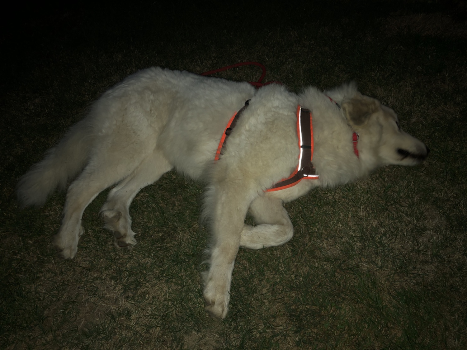 Ich tu schon mal so, als würde ich schlummern