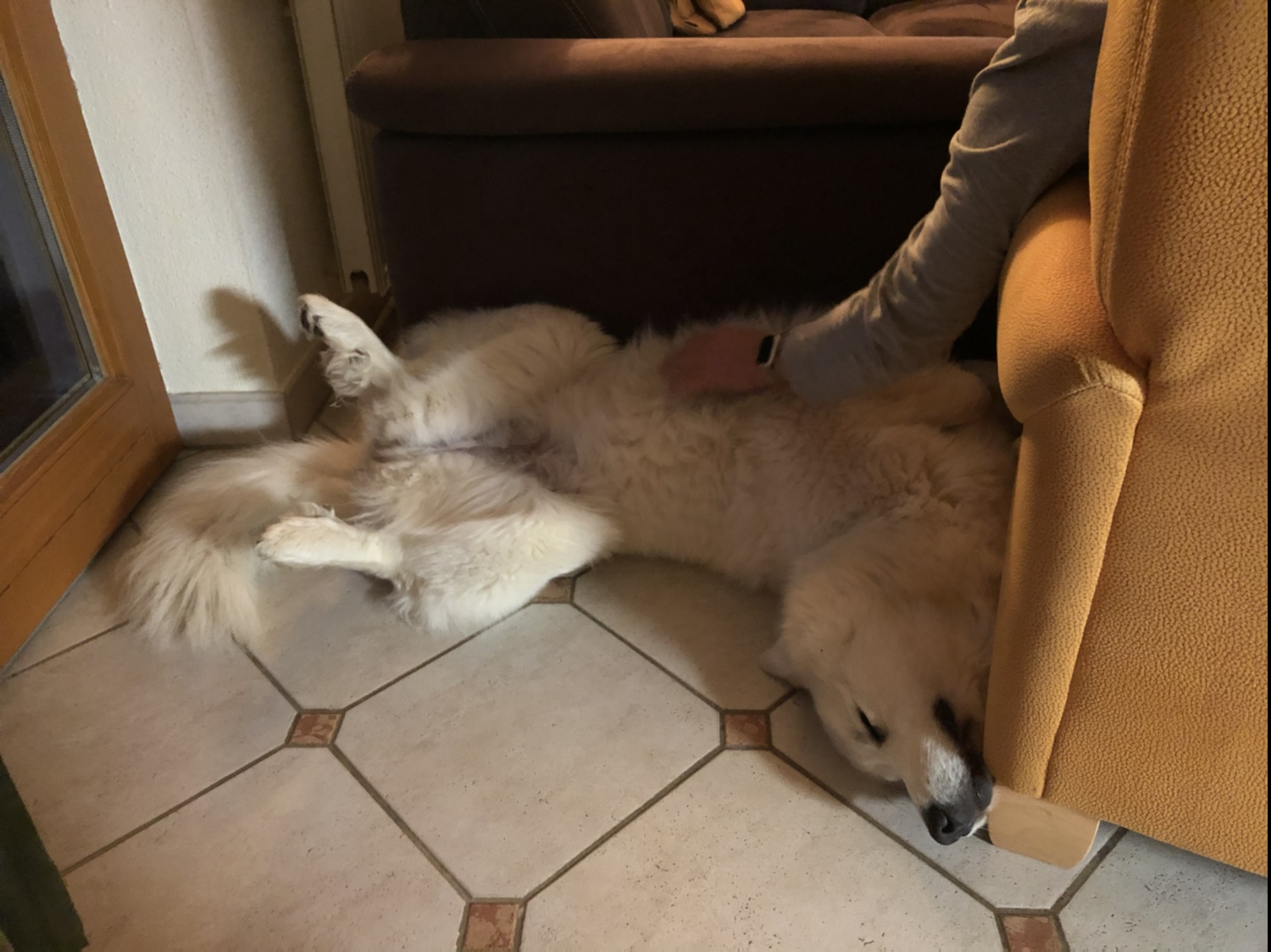 Den Abend genießen!