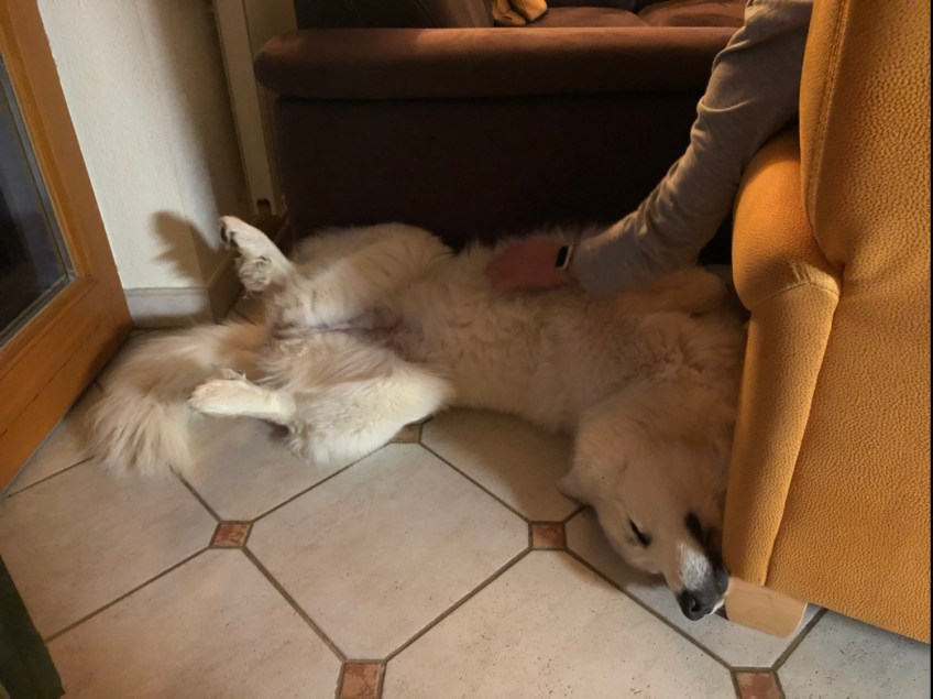 Den Abend genießen!