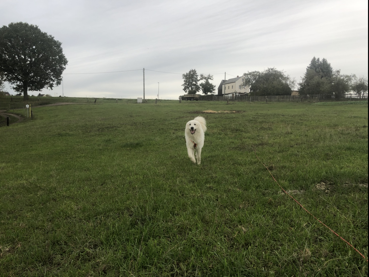 Achtung! Hier kommt eine Bella …