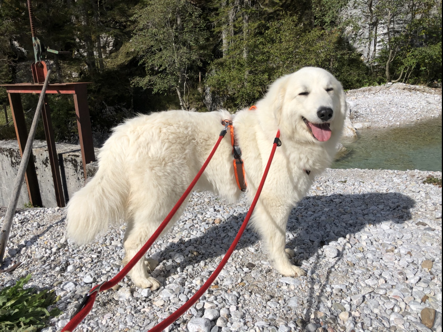 Die Bella am Bergbach an der Landesgrenze Salzburger Land/Steiermark